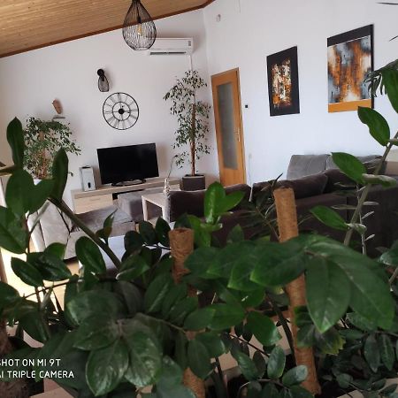Apartment Burich 马卡尔斯卡 外观 照片