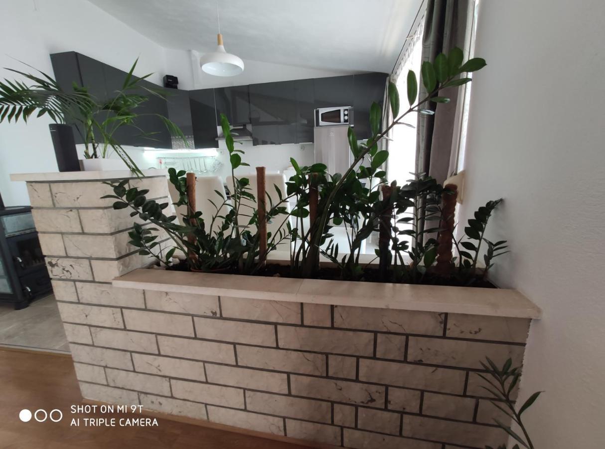 Apartment Burich 马卡尔斯卡 外观 照片